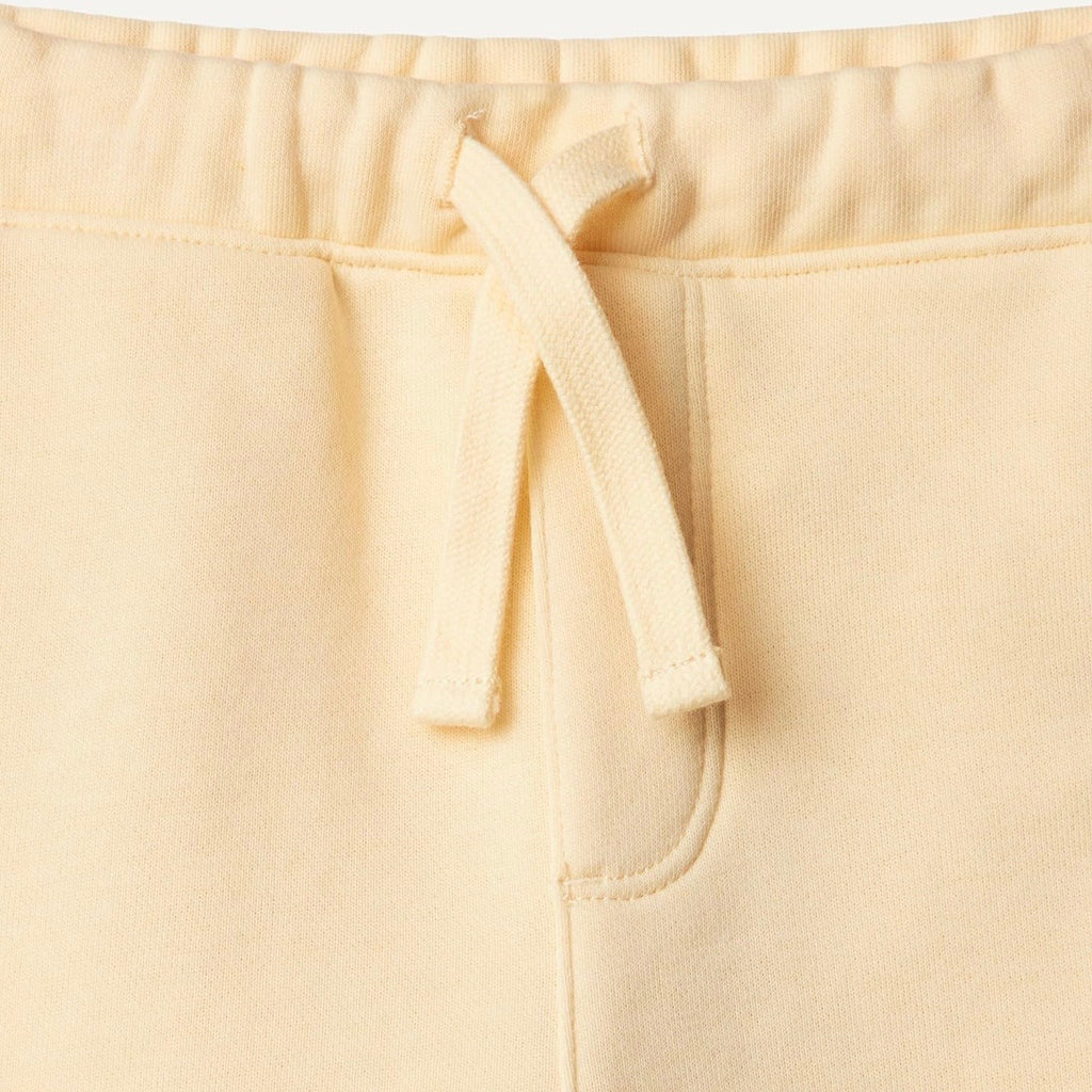 Pack x2 Shorts Amarillo/Rayas Bebé Unisex