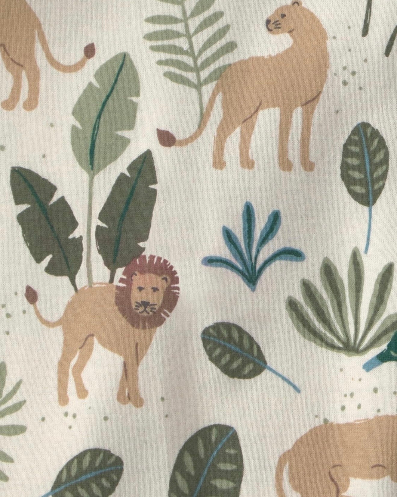Pack de 3 Bodies Verde Jungla Bebé Unisex