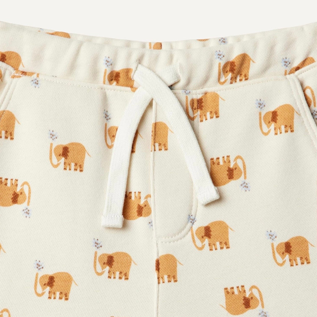 Pack x2 Shorts Elefantes/Azul Bebé Unisex