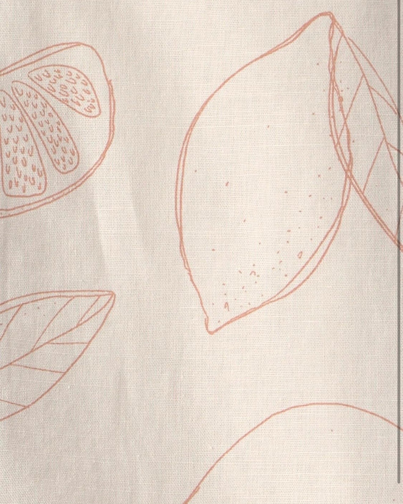 Conjunto de 2 piezas camisa manga corta + short bebé niño